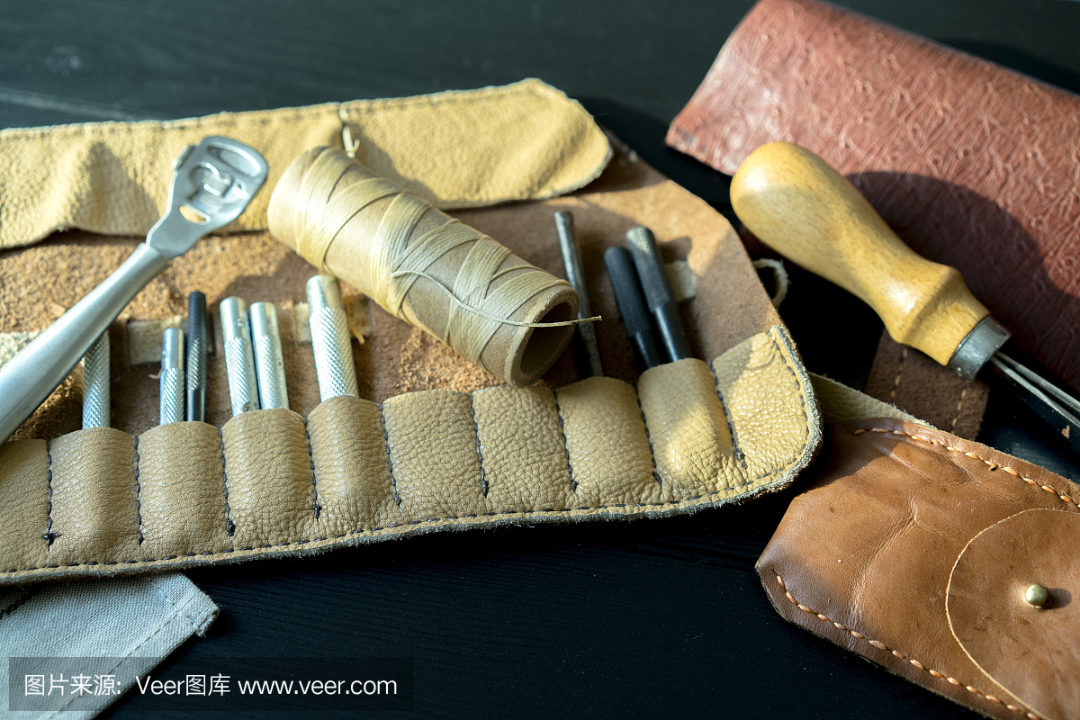 博鱼体育中国皮革制品制造行业企业竞争力排行榜(2010年)