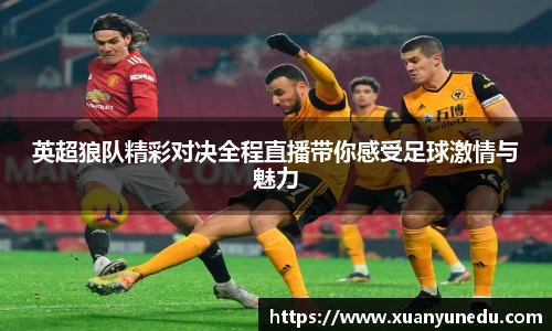 英超狼队精彩对决全程直播带你感受足球激情与魅力