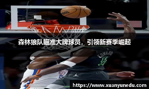 森林狼队瞄准大牌球员，引领新赛季崛起